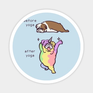 Before Afer Yoga English Bulldog Magnet